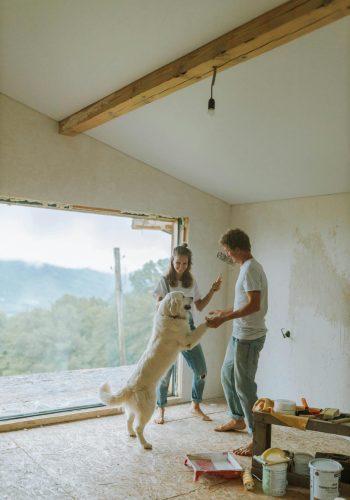 pexels-anastasia-shuraeva-5482148