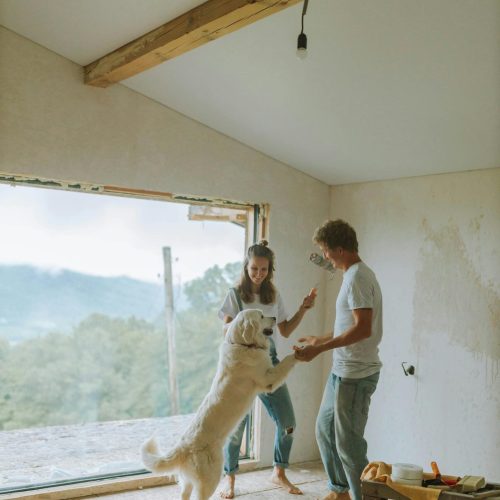 pexels-anastasia-shuraeva-5482148