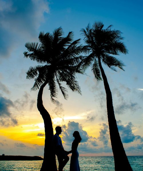 pexels-asadphoto-2549071