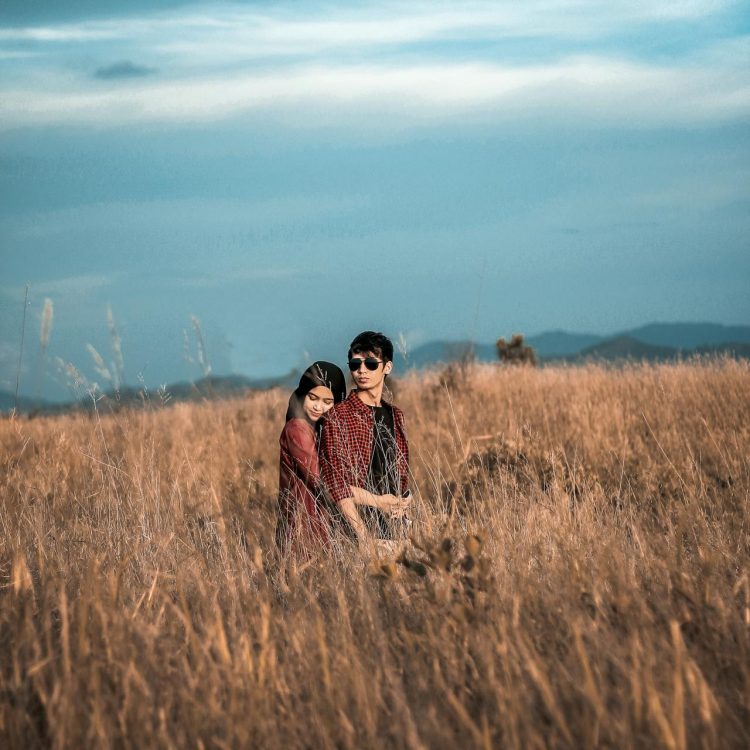 pexels-padli-1583713